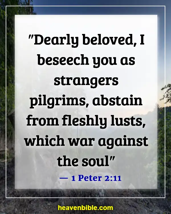 Bible Verses About Warriors (1 Peter 2:11)