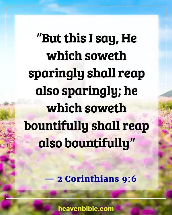 Bible Verses About Rewards In Heaven (2 Corinthians 9:6)