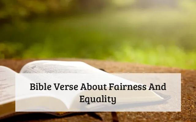 Bible Verse About Fairness And Equality