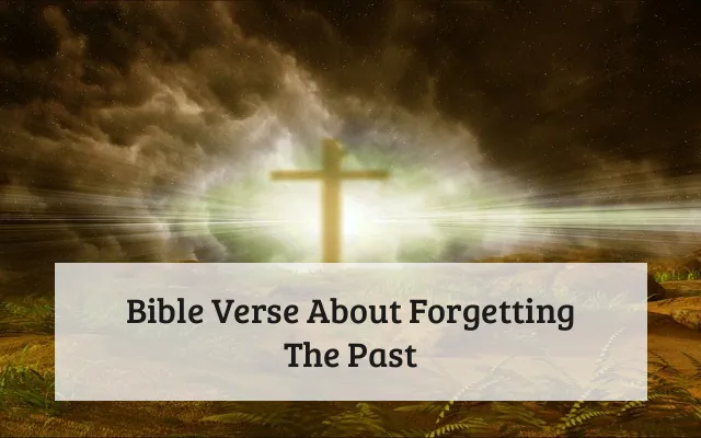 Bible Verse About Forgetting The Past