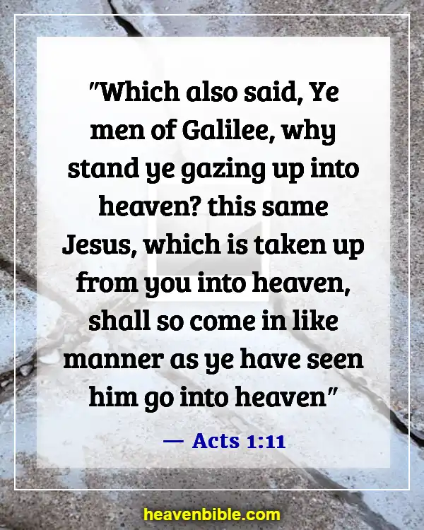 Bible Verses About Waiting For Jesus Return (Acts 1:11)