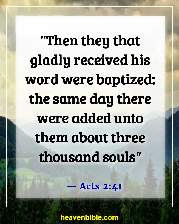 Bible Verses About The Sacrament Of Baptism (Acts 2:41)