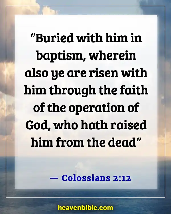 Bible Verses About The Sacrament Of Baptism (Colossians 2:12)