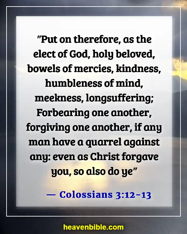 Bible Verse About Dealing With Problems (Colossians 3:12-13)