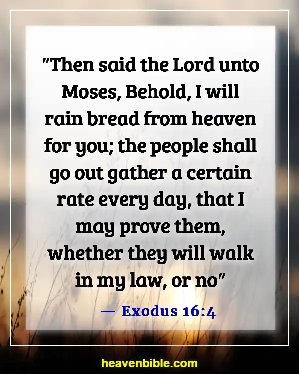 Bible Verse About God Testing Us (Exodus 16:4)