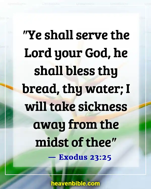 Bible Verses For Healing And Strength For A Friend (Exodus 23:25)