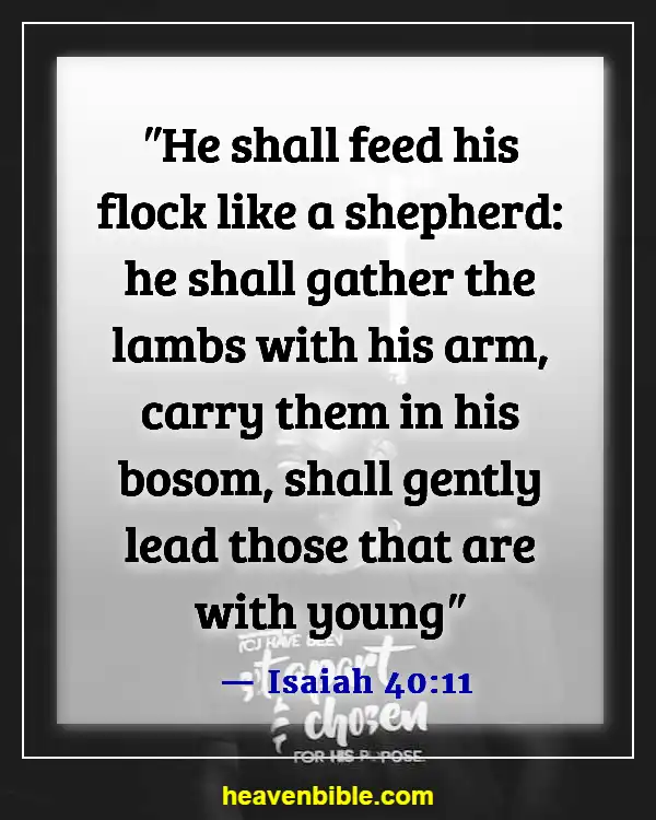 Bible Verses For New Parents (Isaiah 40:11)