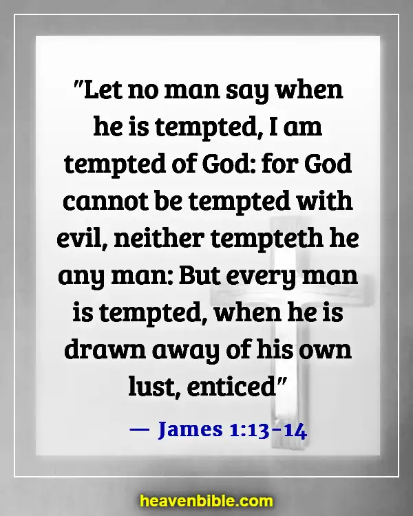 Bible Verses About Bad Behavior (James 1:13-14)