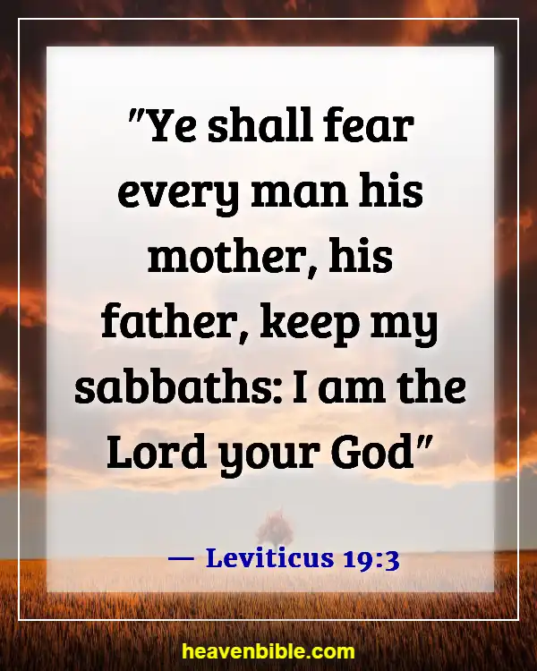 Bible Verses About Taking Care Of Your Elderly Parents (Leviticus 19:3)