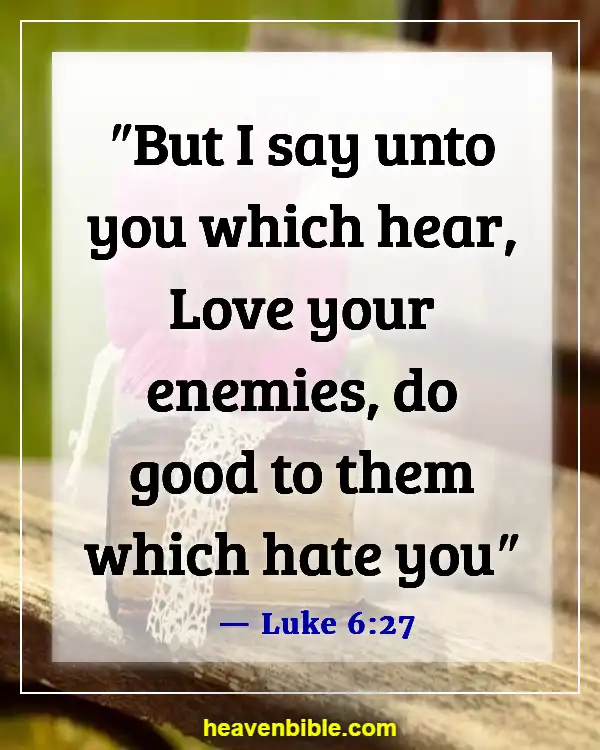 Bible Verses About Disrespecting Others (Luke 6:27)