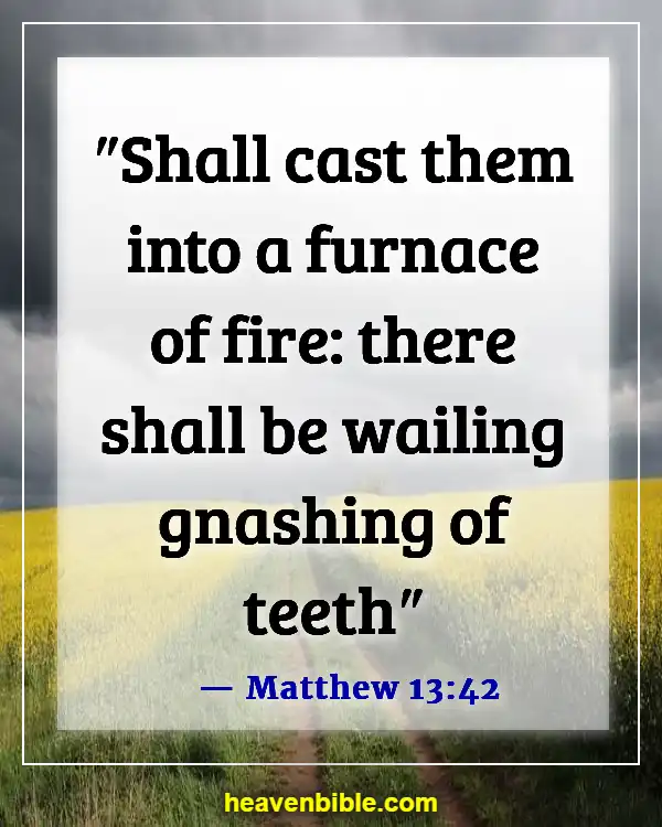 Bible Verses About Punishment In Hell (Matthew 13:42)