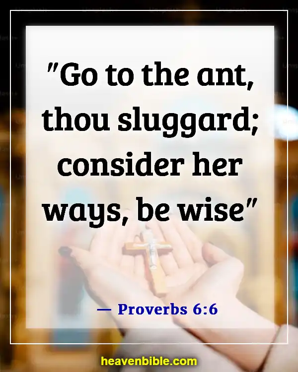 Bible Verses About Sleep And Laziness (Proverbs 6:6)