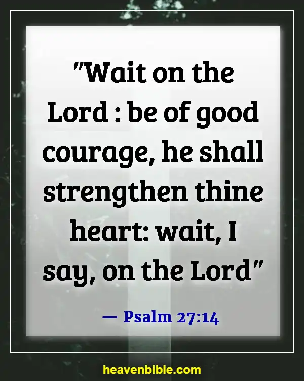 Bible Verses About Waiting Patiently (Psalm 27:14)