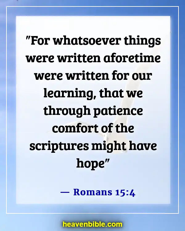 Bible Verse About Patience And God's Timing (Romans 15:4)