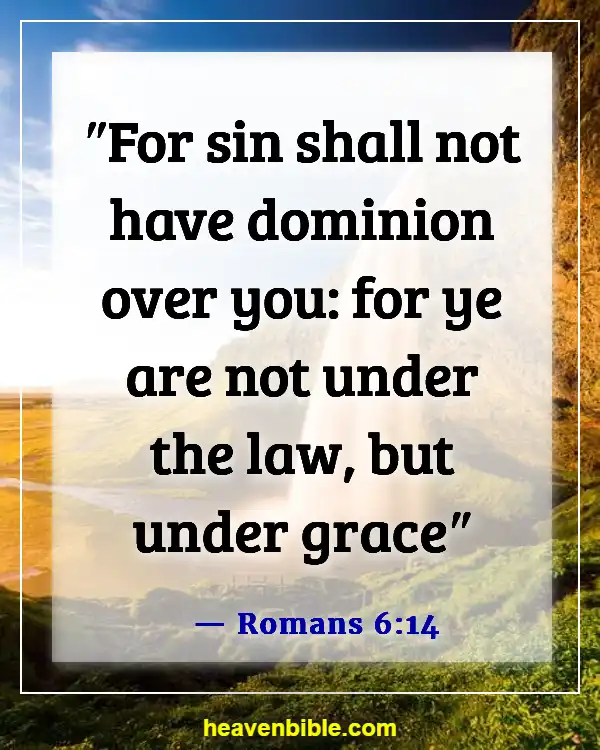 Bible Verses About Grace And Forgiveness (Romans 6:14)