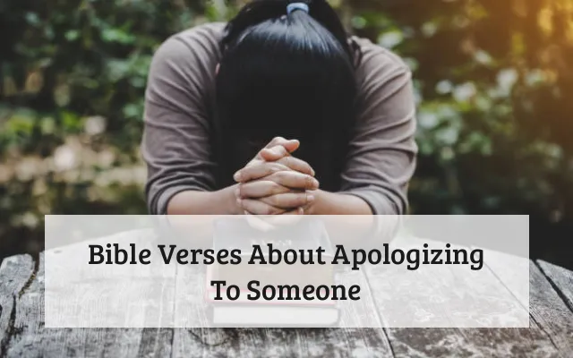 Bible Verses About Apologizing To Someone