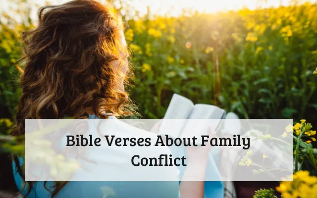 Bible Verses About Family Conflict