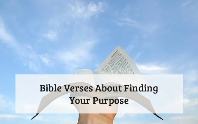 Bible Verses About Finding Your Purpose