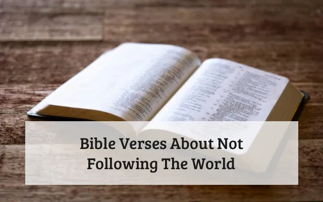 Bible Verses About Not Following The World