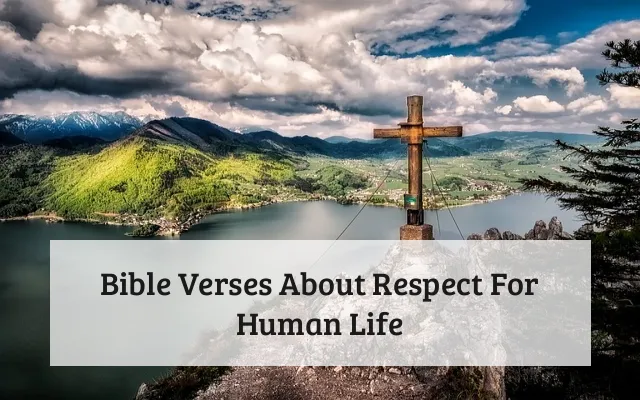 Bible Verses About Respect For Human Life